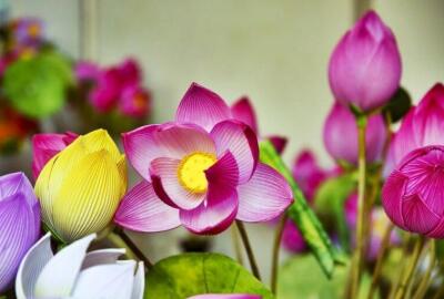 Le village des fleurs en papier de Thanh Tien à Hue