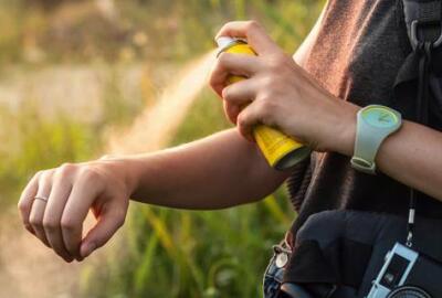 Période moustique au Vietnam : Guide pratique pour voyageurs