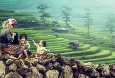 Quel est le meilleur moment pour visiter les rizières de Sapa ?