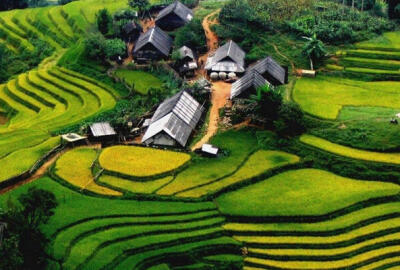 Quel est le meilleur mois pour visiter le Vietnam : Guide complet pour explorer le Vietnam