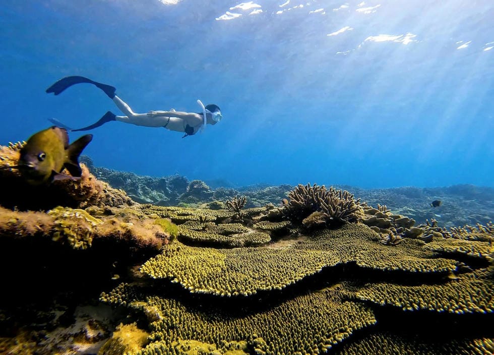 plage-de-rang-a-mui-ne