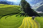 Voyage au Vietnam avec un bébé : guide complet pour réussir votre voyage en famille