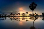 Comment réserver un voyage au Vietnam avec une agence locale ?
