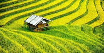 Circuit Vietnam Cambodge 15 jours