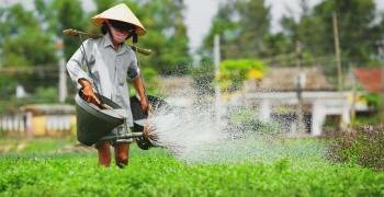 Excursion village de légumes de Tra Que