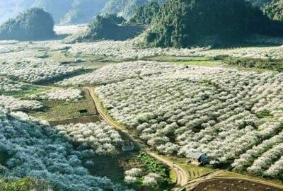 J’ai choisi la moto, je commence par Hanoï et voilà où j’y vais...