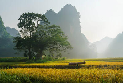 Que faire au Vietnam pendant 3 semaines ?