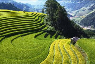 Voyage au Vietnam avec un bébé : guide complet pour réussir votre voyage en famille