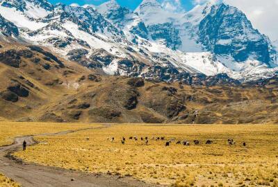 Bons plans pour un voyage à Bolivie