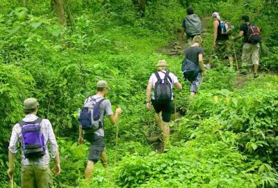 Le parc national de Cuc Phuong : Un trésor naturel du Vietnam