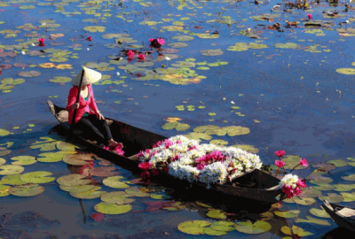 Comment visiter le Delta du Mékong à partir de Saigon ou de Ho Chi Minh Ville ?