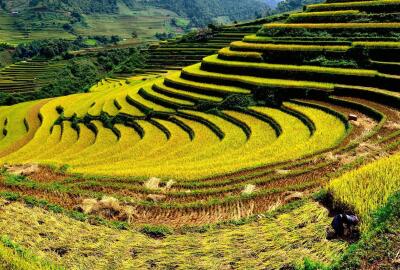Que faire pour un circuit Nord Vietnam 10 jours : Mosaïque ethnique ?