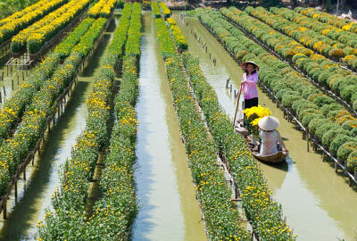 Que faire à Sa Dec : découverte des traces de Marguerite Duras ?