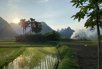 La vallée de Lam Thuong à Yen Bai : Guide ultime de voyage