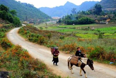 Les sites historiques à Ha Giang