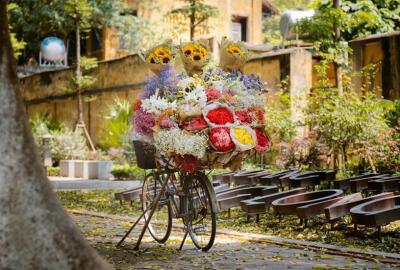 Quelle agence de voyage au Vietnam à recommander ?