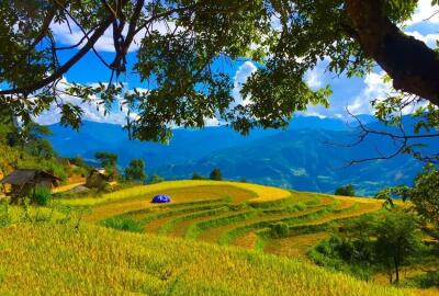À la découverte du haut plateau karstique de Tua Chua à Dien Bien