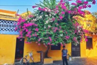 Guide complet de Hoi An : que faire et combien de jours dans cette belle destination ?