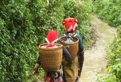 Réhahn, le Vietnam raconté en image