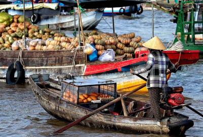 Comment organiser seul son voyage au Vietnam : guide complet pour une aventure en liberté