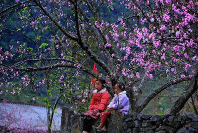 Meo Vac : les incontournables et le guide pratique