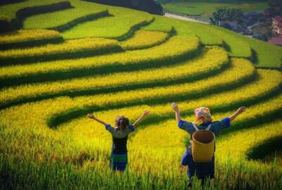 Pourquoi voyager au Vietnam avec une agence de voyage locale ?