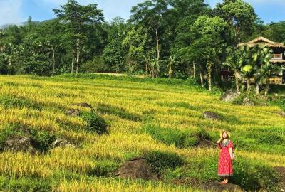 Un trek de 4 jours à Pu Luong