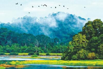 Activités selon les saisons pendant votre voyage au Vietnam