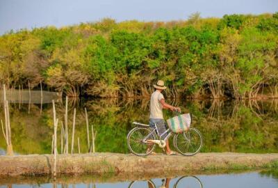La mangrove de Ru Cha à Hue : Un trésor naturel à découvrir