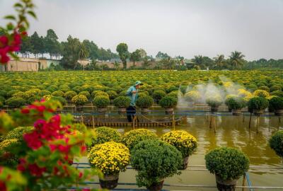 Top 15 des plus beaux villages au Vietnam du Nord au Sud