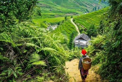 Peut-on visiter Sapa sans guide touristique ?