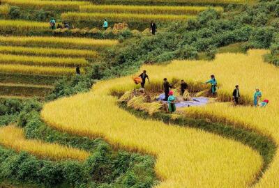 Vietnam en mars 2026 : Guide complet pour un voyage réussi