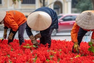 Que faire pour un circuit Vietnam 12 jours : Incontournables du Nord au Sud ?