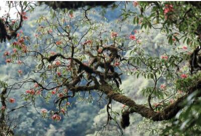 Guide complet et plan pour découvrir Lai Chau en 5 jours ?