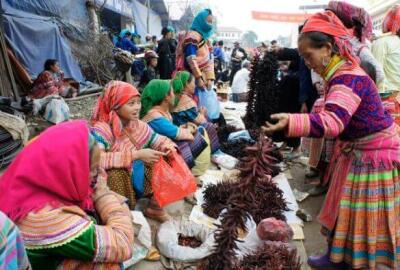 Circuit hors des sentiers battus de Hoang Su Phi à Xin Man