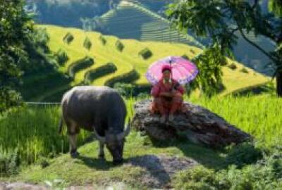 Trek au paradis des rizières en terrasse à Hoang Su Phi