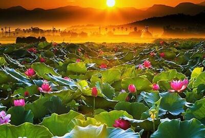 Que faire pour un circuit Vietnam 3 semaines : une découverte généreuse ?