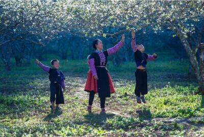 Randonnées et treks à Moc Chau, Son La