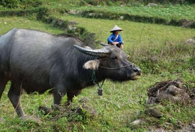 Trek à Ha Giang : Comment réussir votre aventure inédite ?