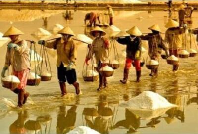 Les saulniers du Vietnam