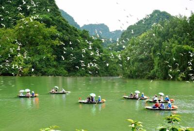Parc ornithologique de Thung Nham : Un trésor caché de Ninh Binh
