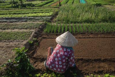 Village de légumes de Tra Que – Meilleur village touristique du monde
