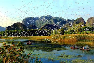 Réserve naturelle de Van Long à Ninh Binh : guide complet, activités et conseils