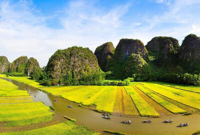 L’animal symbolique du Vietnam et de la Birmanie