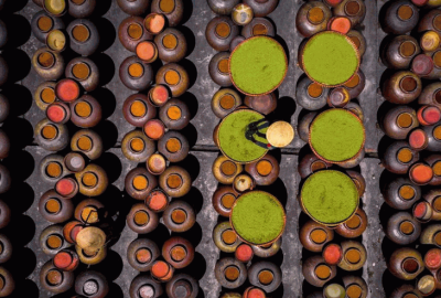 Village de sauce soja de Ban Yen Nhan dans la province de Hung Yen