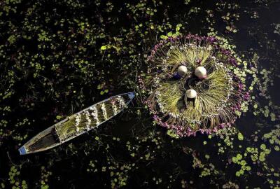 Village flottant de Tan Lap : Une échappée verte aux portes de Saigon
