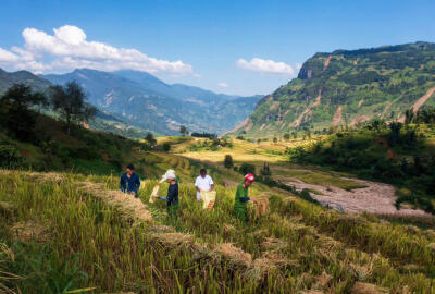 Voyager au Vietnam après le typhon Yagi