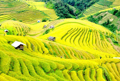 Guide complet de Yen Bai et ses attractions touristiques les plus connues à découvrir