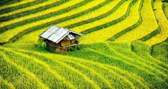 Circuit Vietnam Cambodge 15 jours