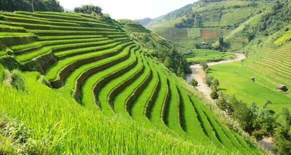 Circuit Vietnam 15 jours